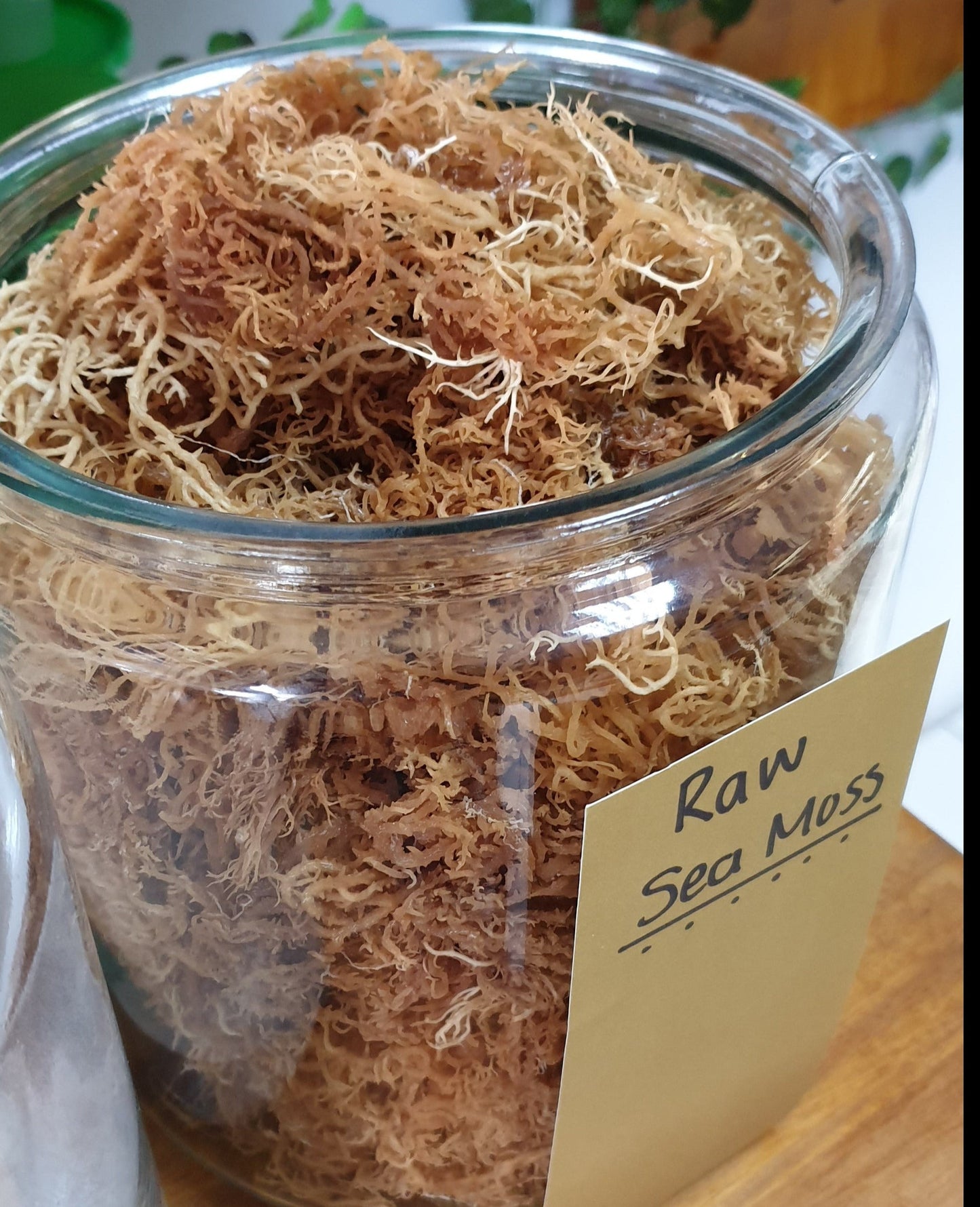 Sea Moss Raw - Wild Crafted Sea Moss Irish Moss - Purple or Gold