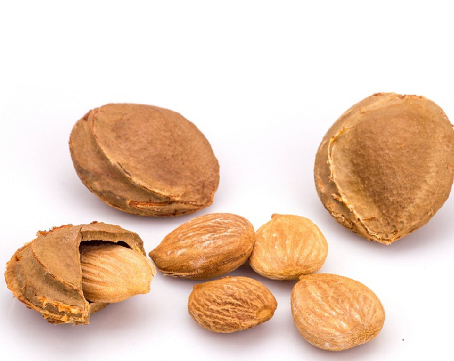 Organic Apricot Seeds Kernels Sweet | Bitter 300 gram