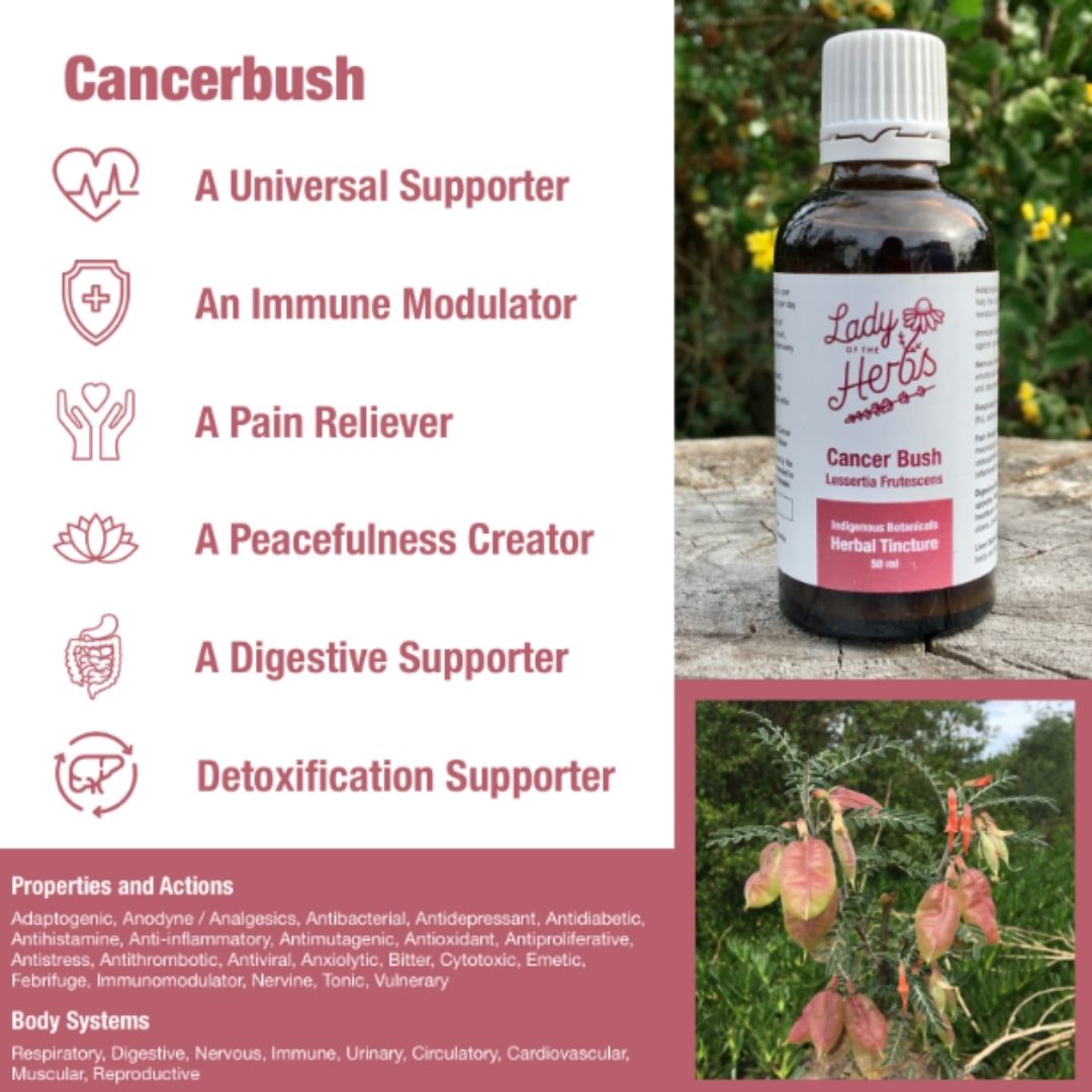 Lady Of The Cancerbush Tincture 50ml