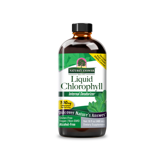 Nature's Answer Chlorophyll Liquid 473ml | Spearmint Flavoured Supplement