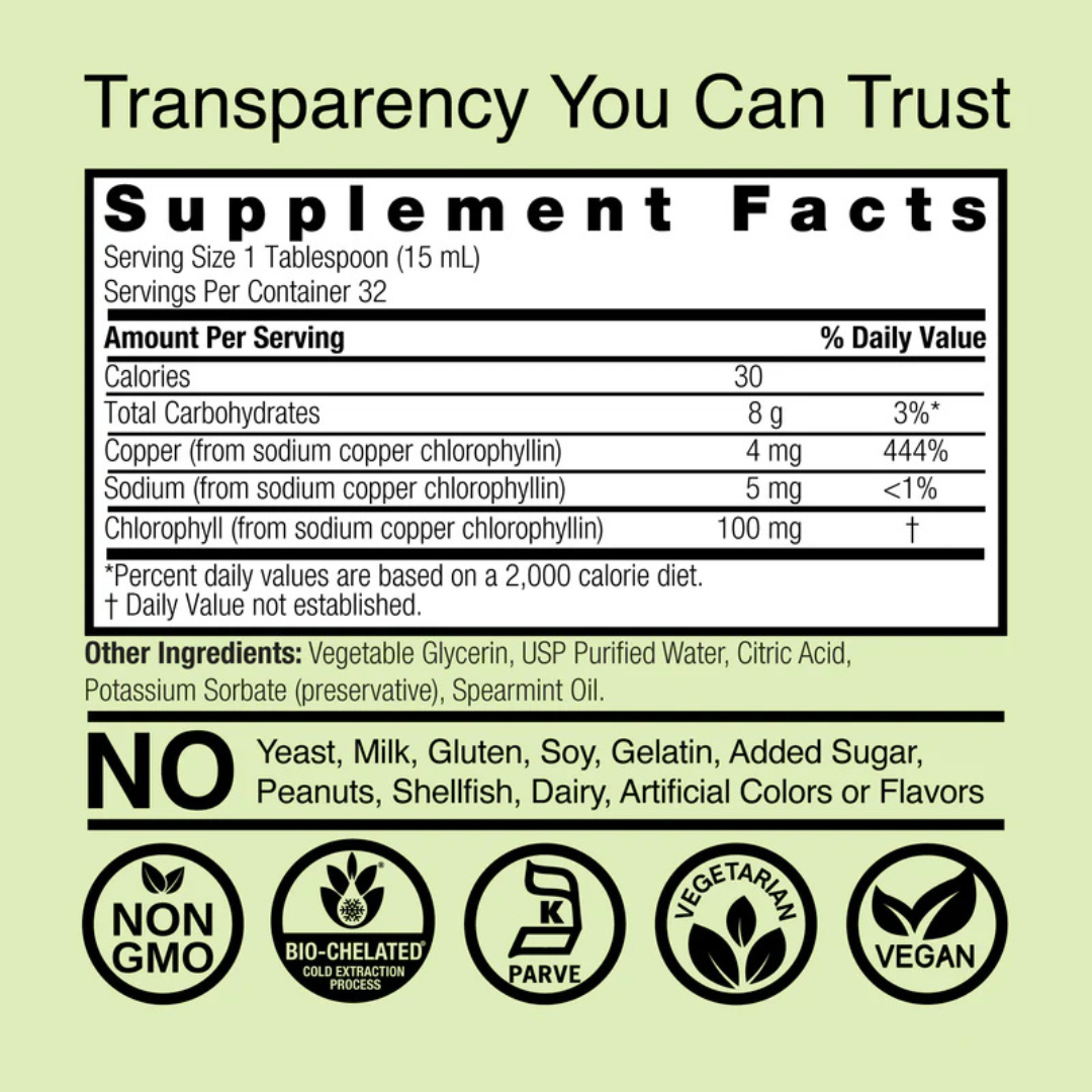 Nature's Answer Liquid Chlorophyll 480ml | Spearmint Flavoured Chlorophyll Supplement