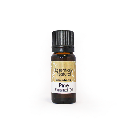 Essentially Natural Pine Essential Oil - 10ml