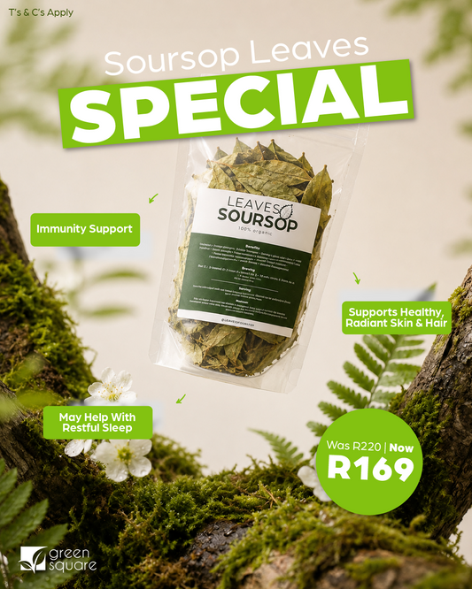 Soursop Leaves – 100 leaves