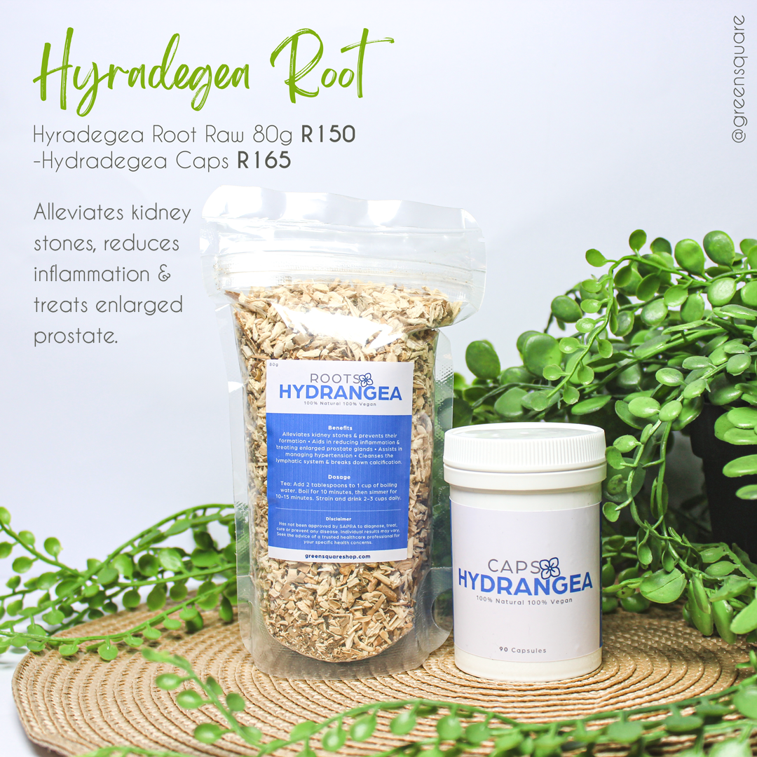 Hydrangea Root - 60 capsules