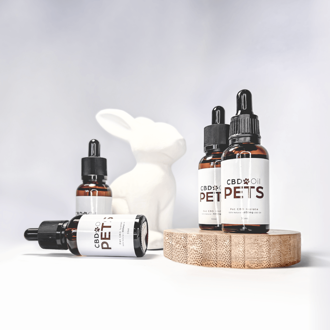 CBD Oil for dogs & cats