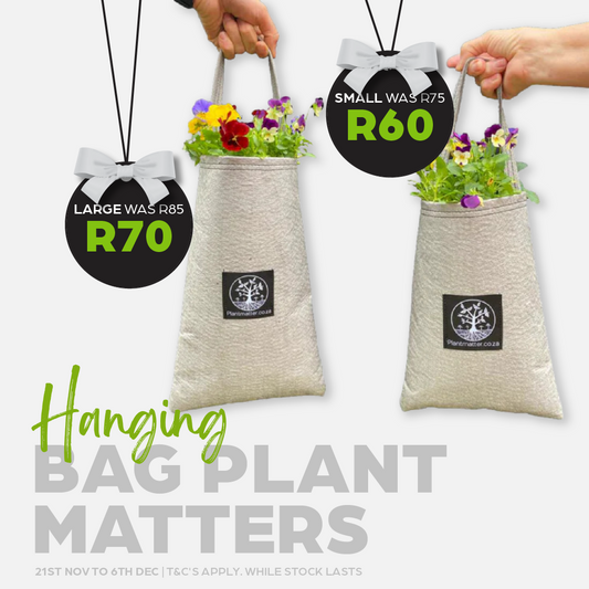 Hanging Bag Plant Matters S | L