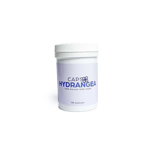 Hydrangea Root - 60 capsules