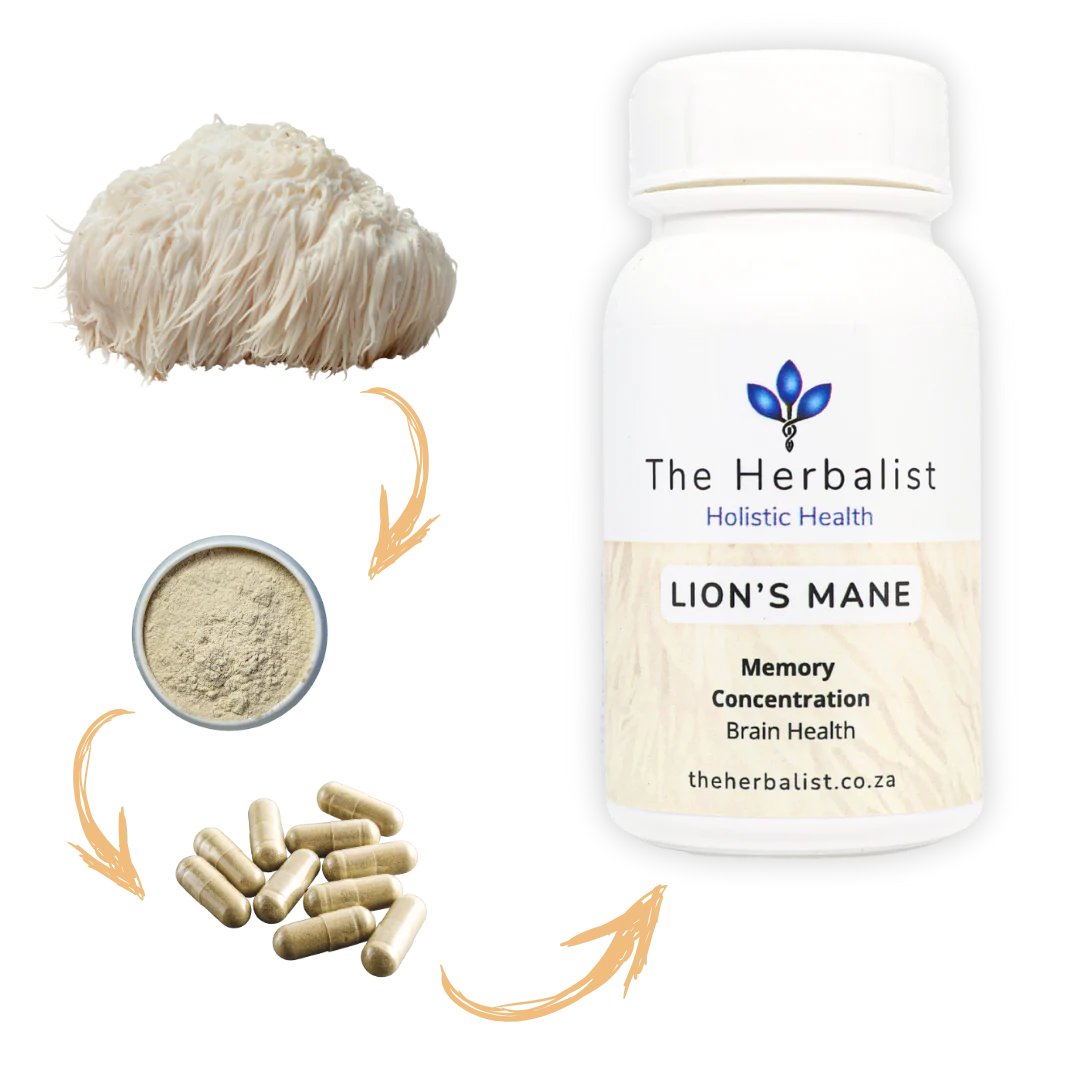 Lion’s Mane Capsules 120 – Brain, Memory & Focus Support