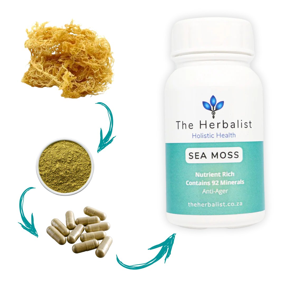 The Herbalist - Wellness Trio Special – Sea Moss, Moringa & Ashwagandha - Women's Month