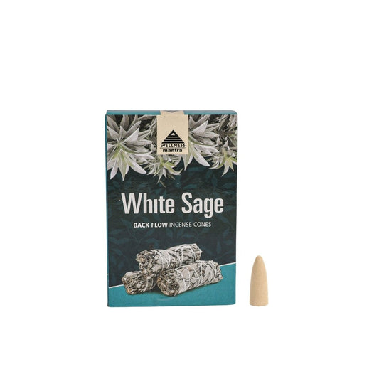 White Sage Backflow Incense Cones (10) – Wellness Mantra