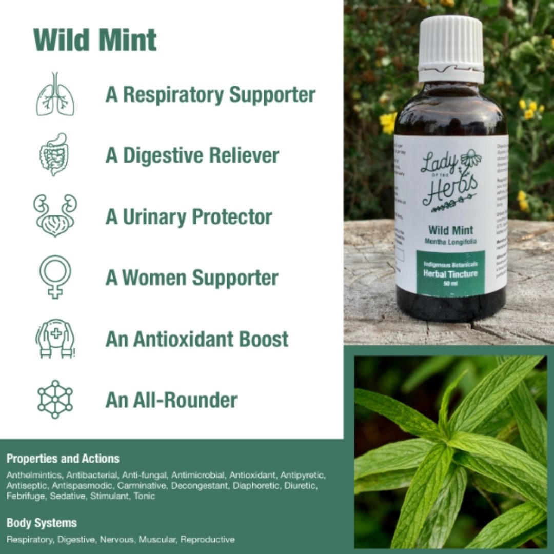 Lady Of The Herbs Wild Mint Tincture 50ml