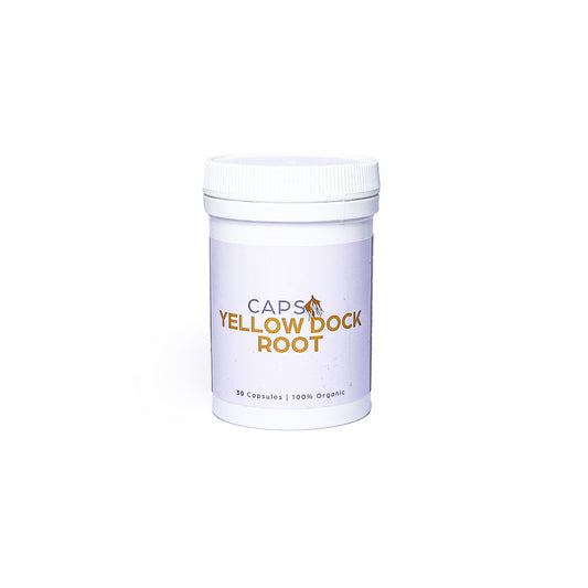 Yellow dock root - 30 capsules