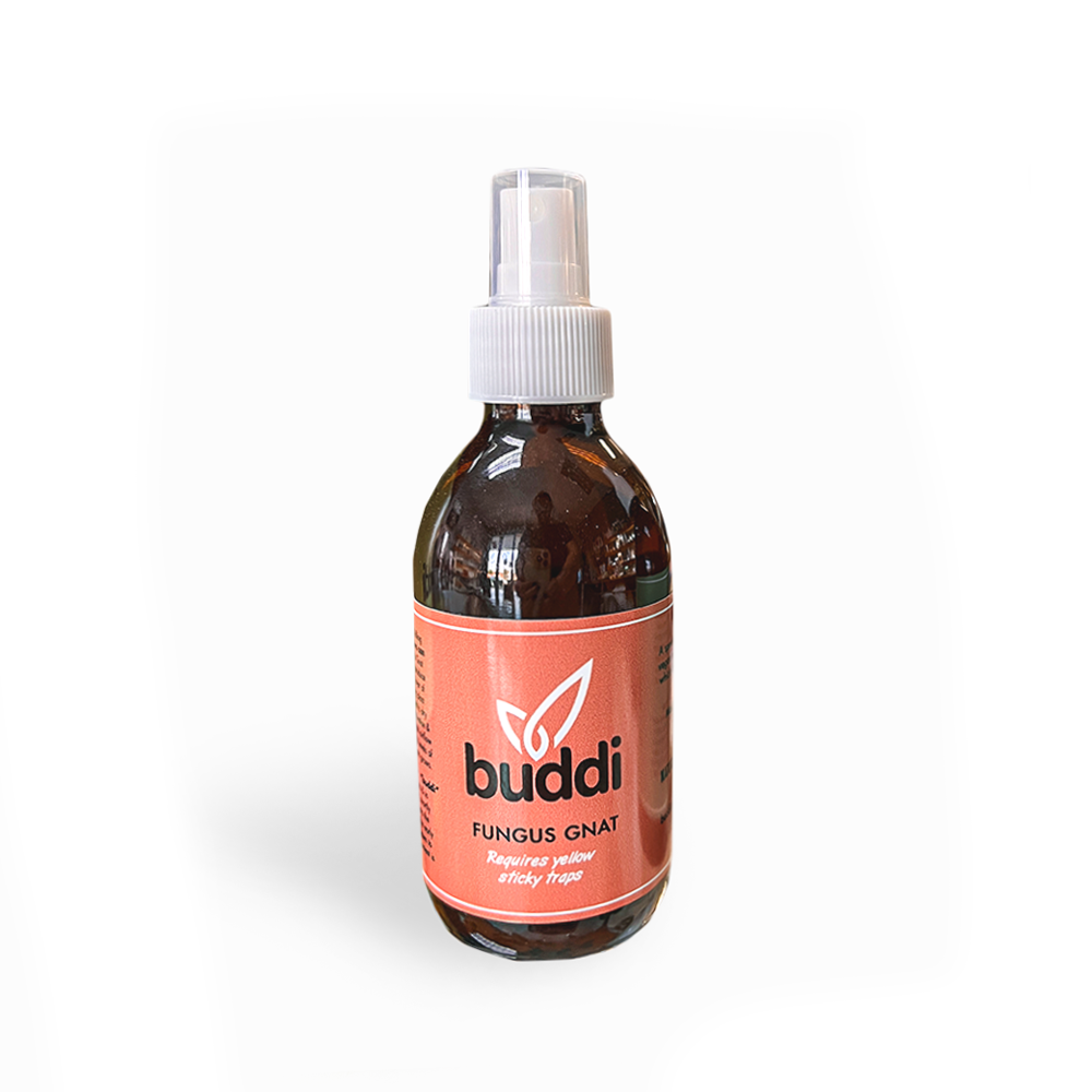 Buddi Organic Pest Control Spray - Fungus Gnats