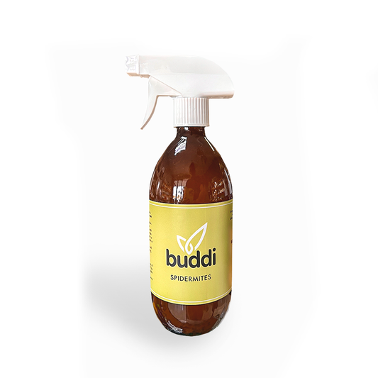 Buddi Organic Pest Control Spray - Spider Mites 500ml
