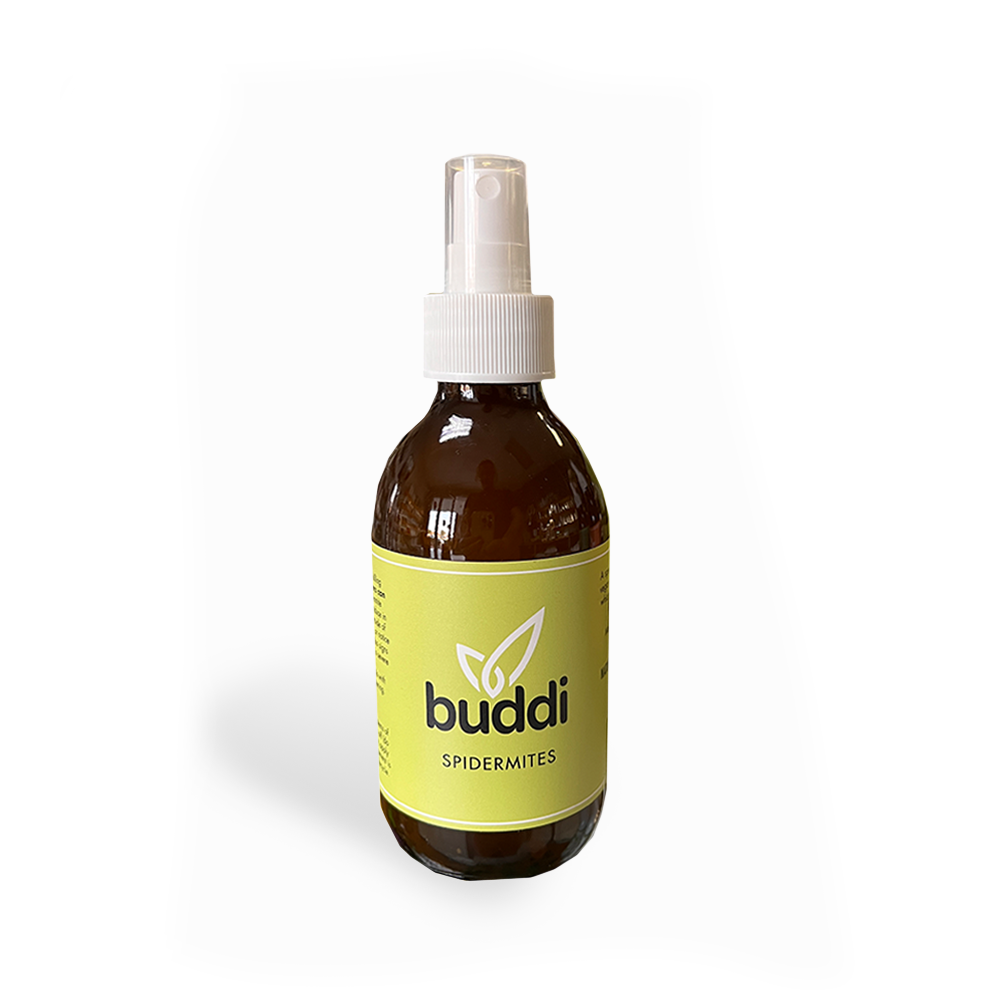 Buddi Organic Pest Control Spray - Spider Mites 200ml