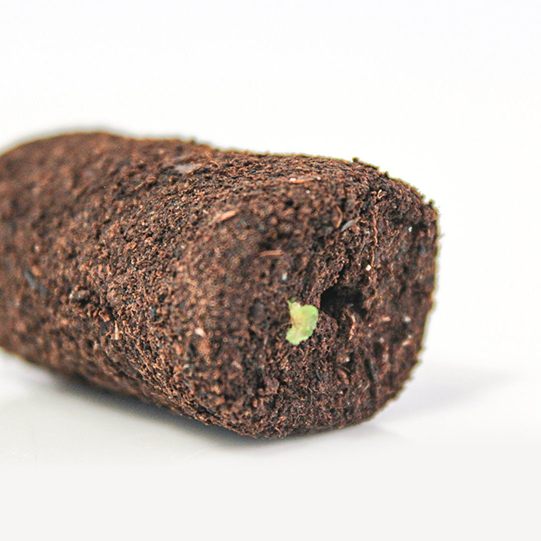 Jiffy Preforma Box Plug