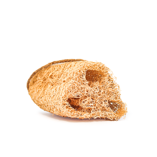 Loofah (Natural Sponge)