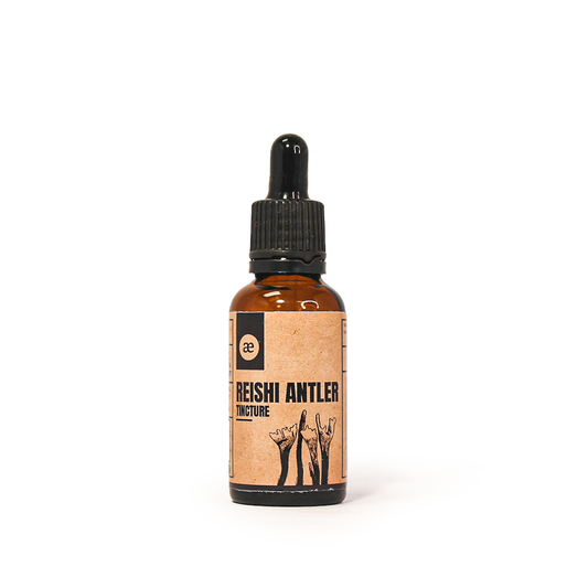 Reishi Antler Tincture 30ml