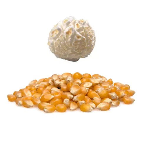 Mushroom Popcorn - Green Square 