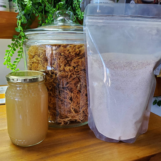 Sea Moss and how to make your own Sea Moss Gel 