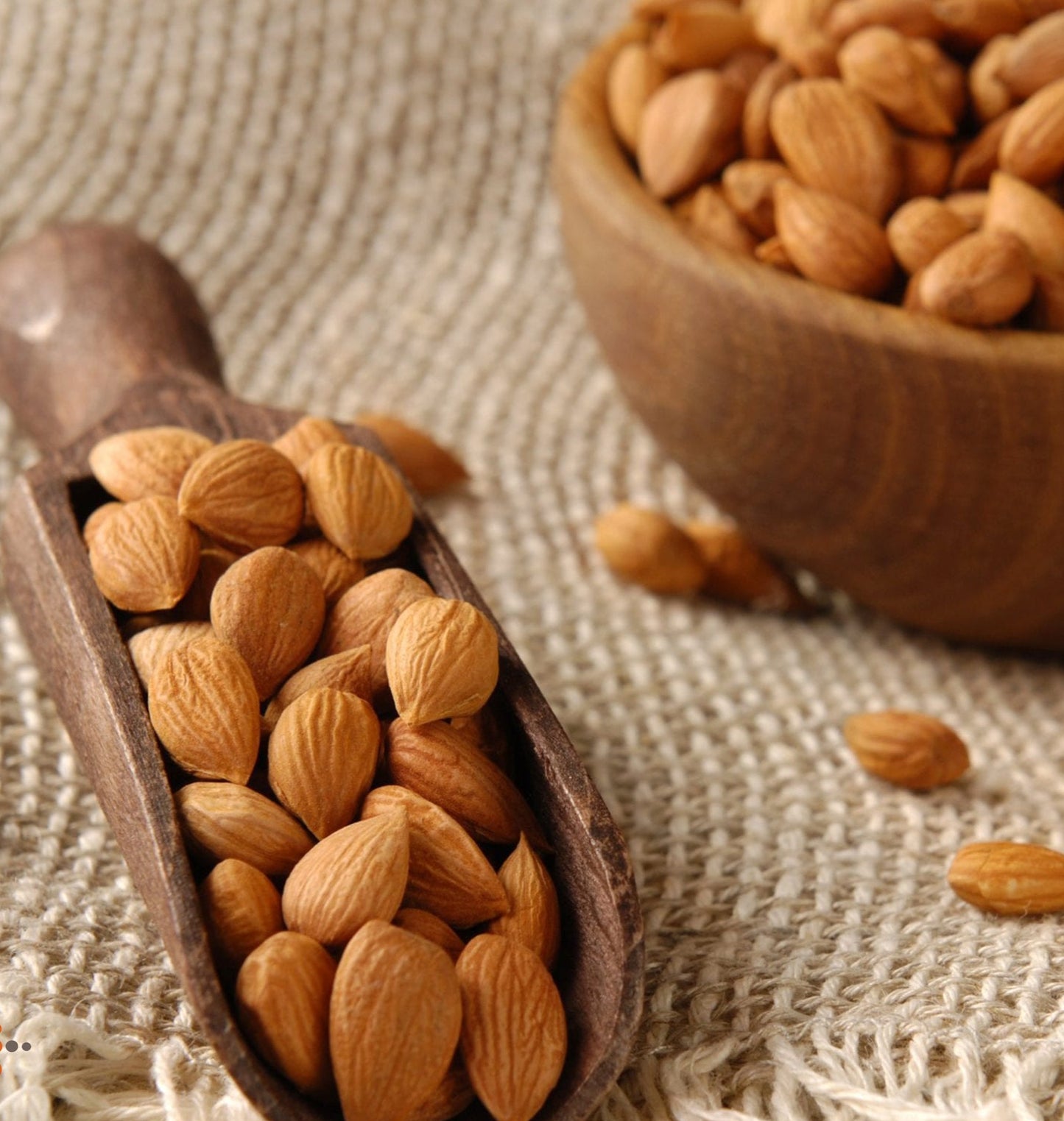 Organic Apricot Seeds Kernels Sweet | Bitter 300 gram