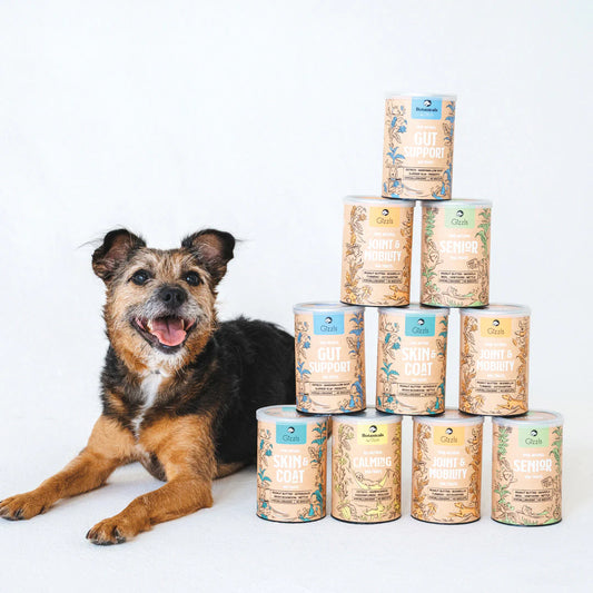 Gizzls Calming Dog Treats – 40