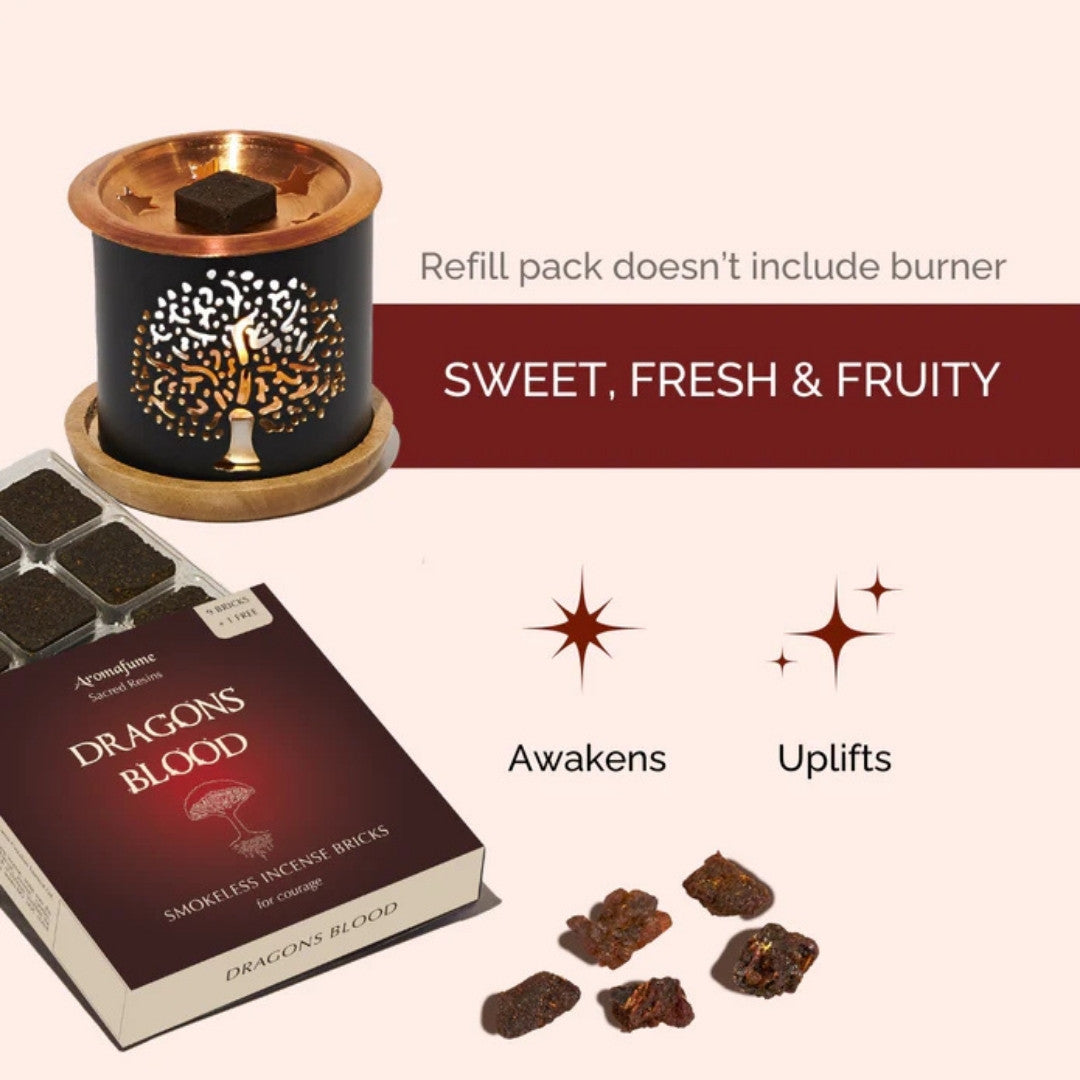 Dragons Blood Incense Bricks