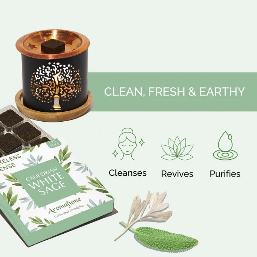 Californian White Sage Incense Bricks