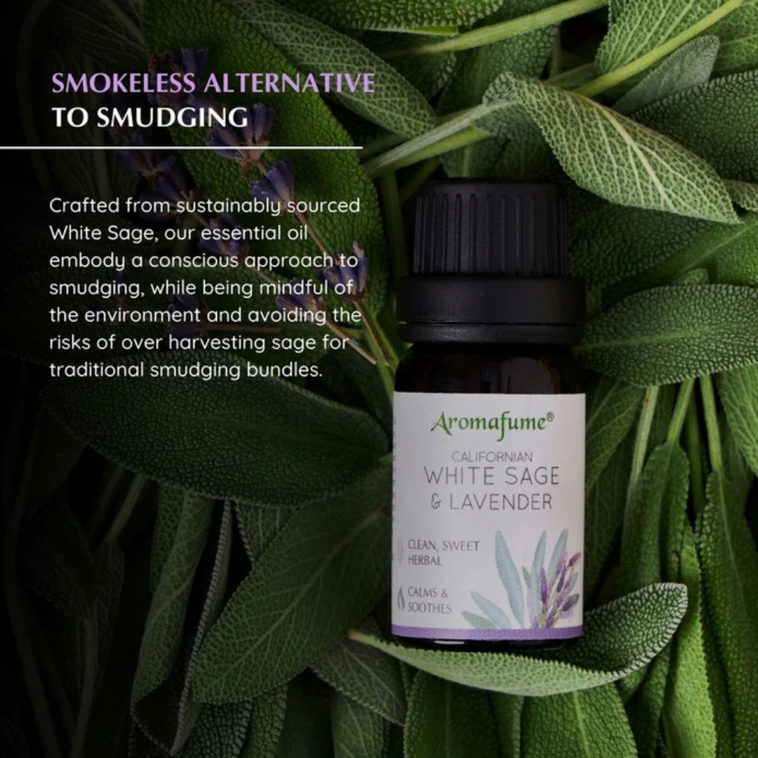 Californian White Sage and Lavender Essential Oil Blend