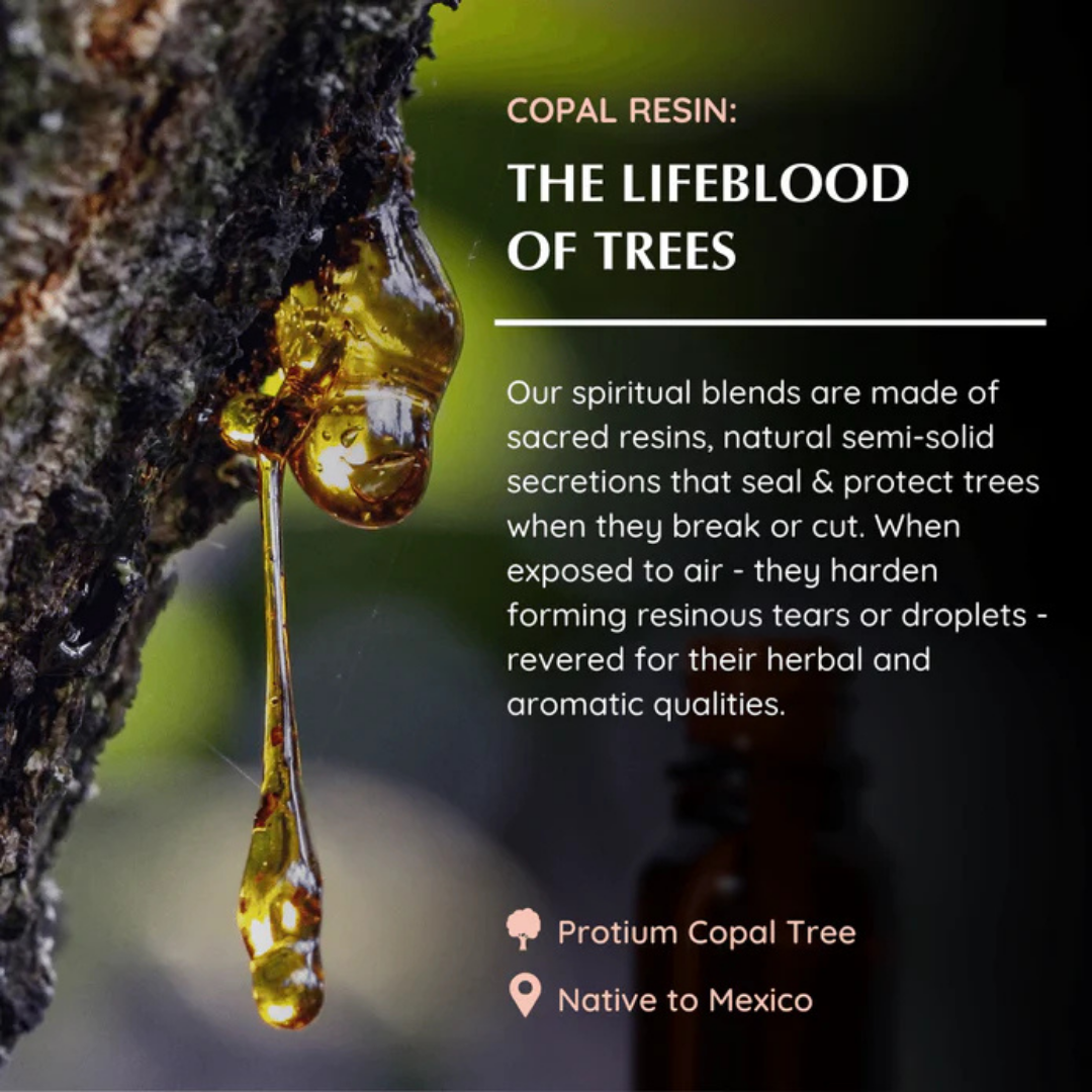 Copal Essential Oil Blend
