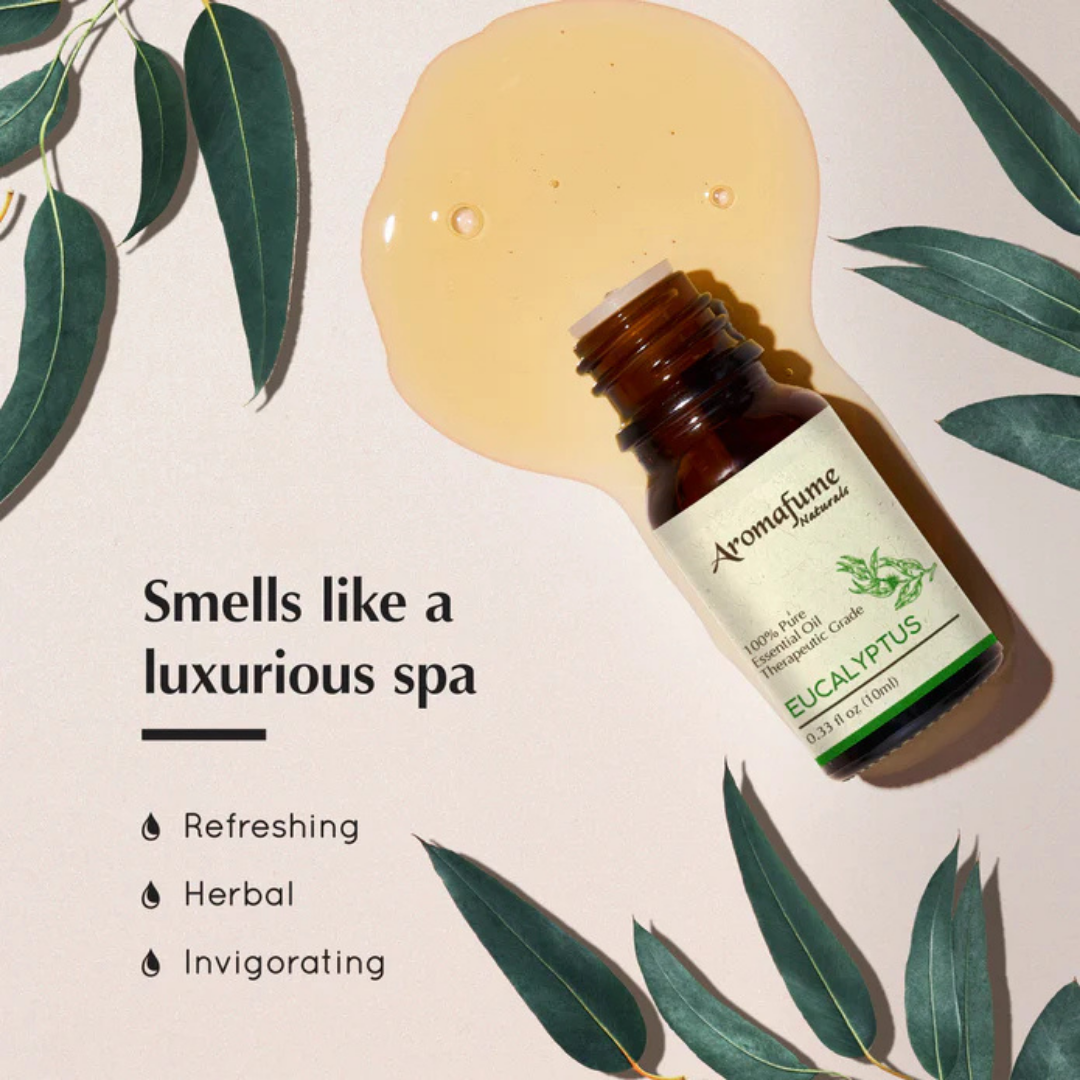 Eucalyptus Pure Essential Oil