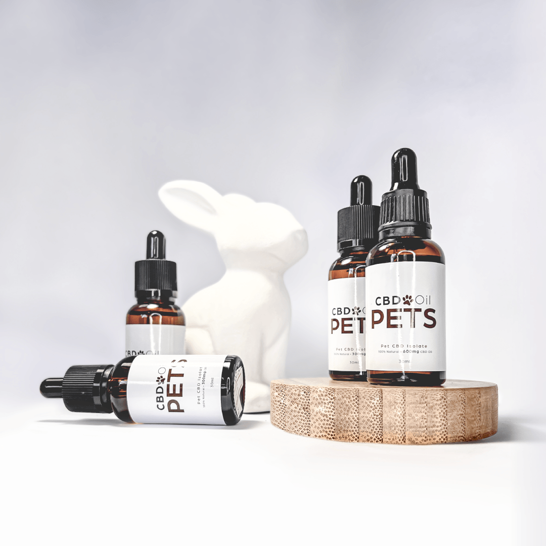 CBD Oil for dogs & cats 