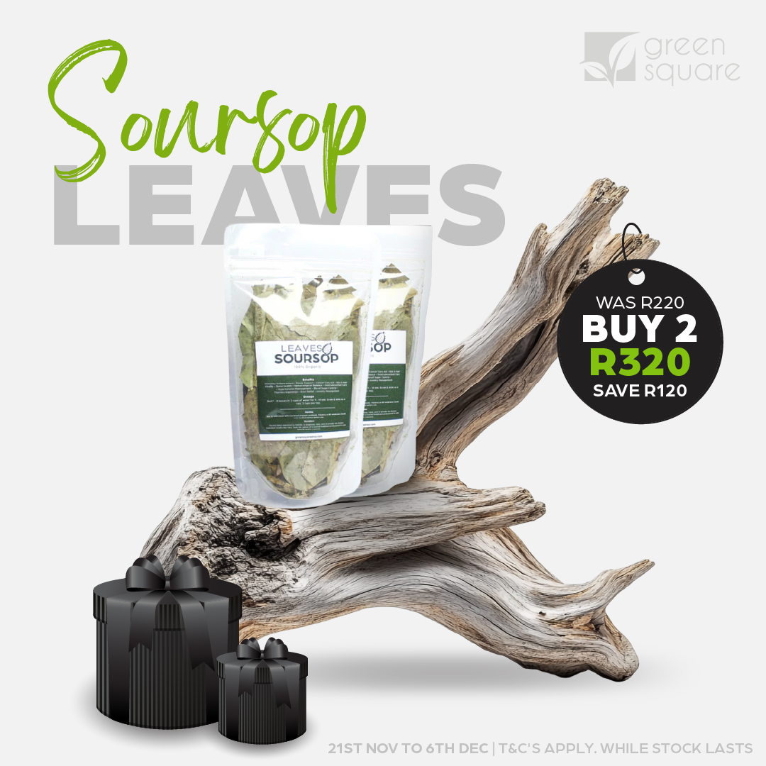 Soursop Leaves - 100 Buy two Soursop Leaves and SAVE R120