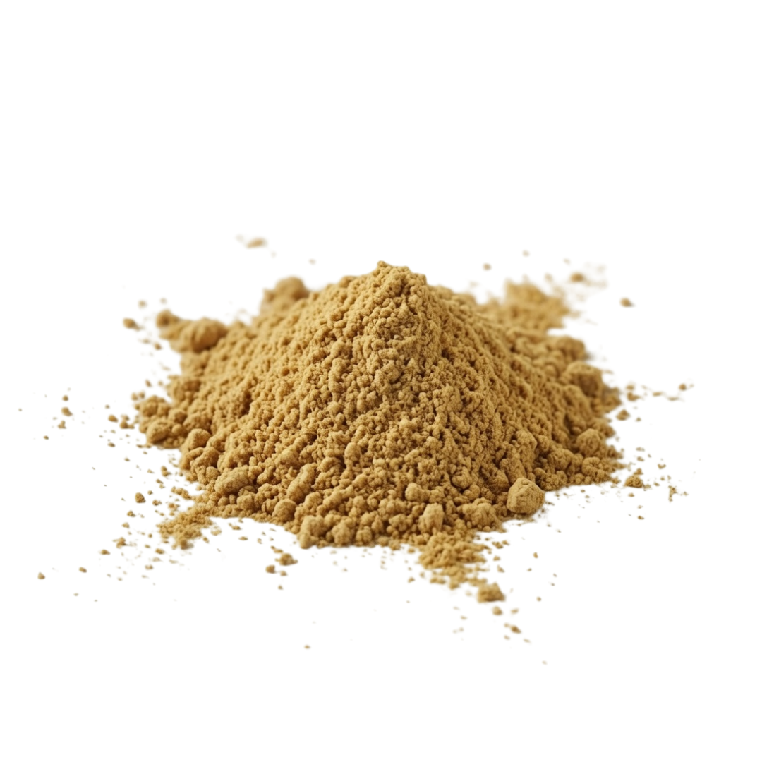 Ginger Powder 50g