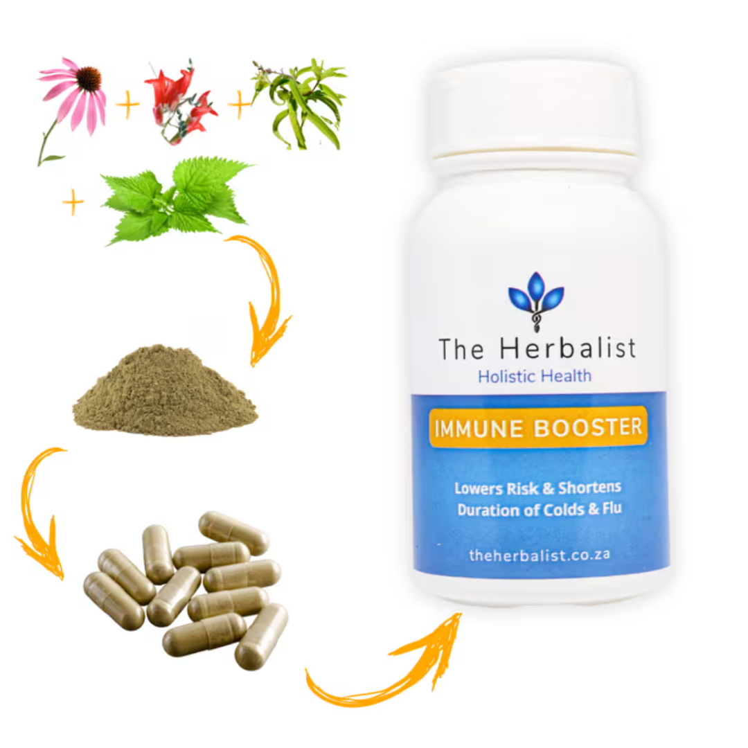 Student Bundle - Lions Mane , Concentration , Immune Defence & Anti-Stress capsules