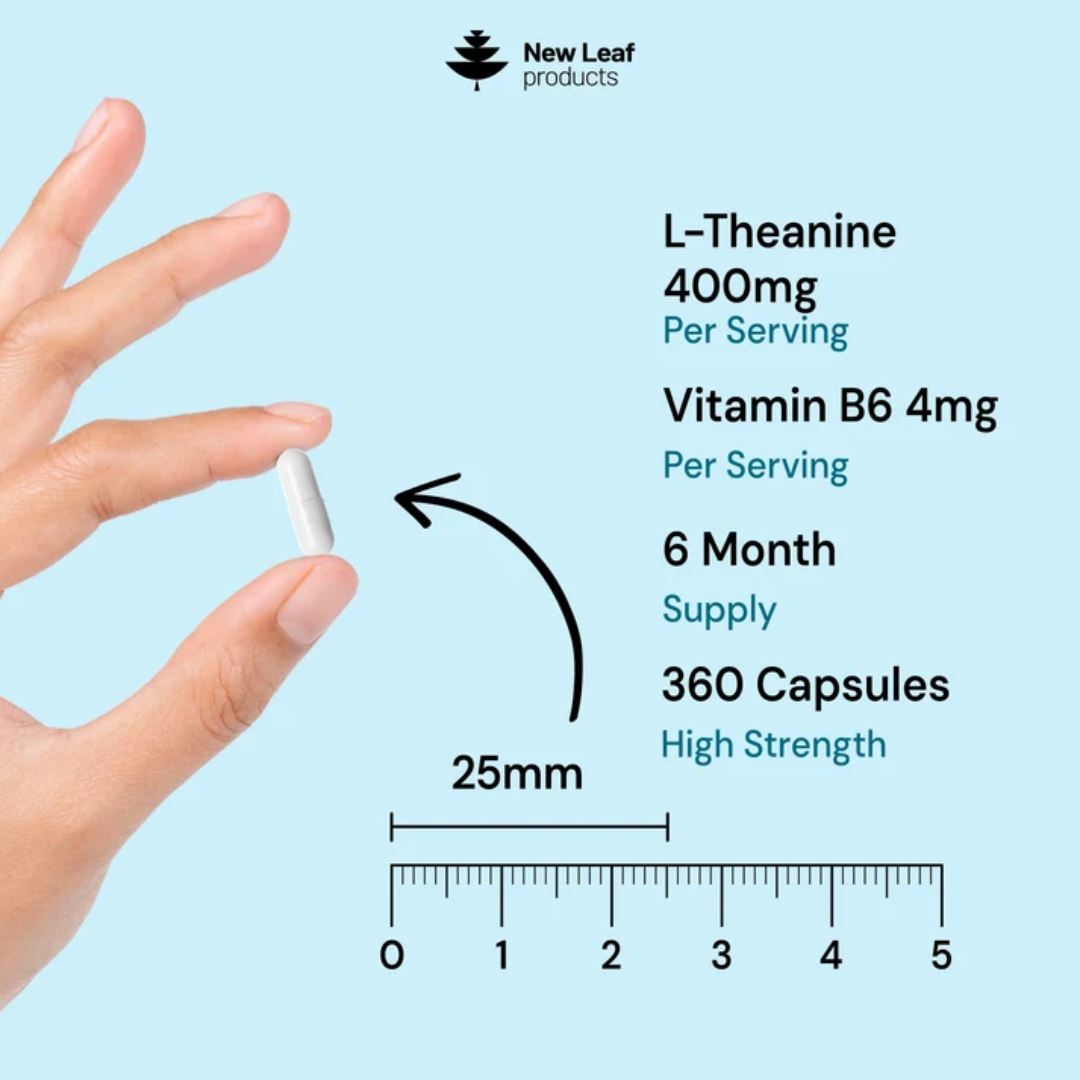L-Theanine + Vitamin B6 | 120 Capsules