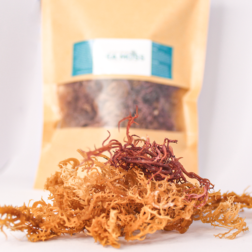 Sea moss for sale 