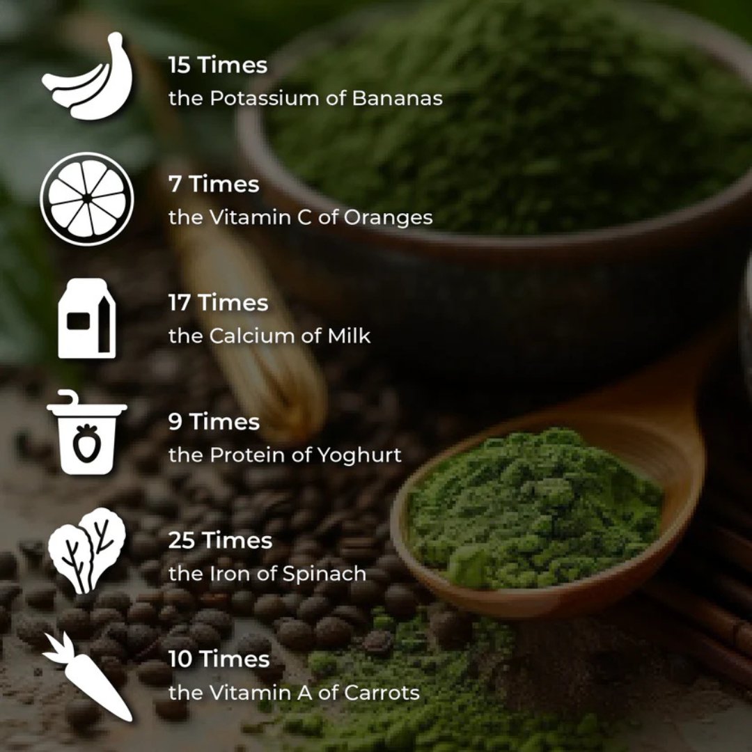 The Herbalist  - Wellness Trio Special – Sea Moss, Moringa & Ashwagandha