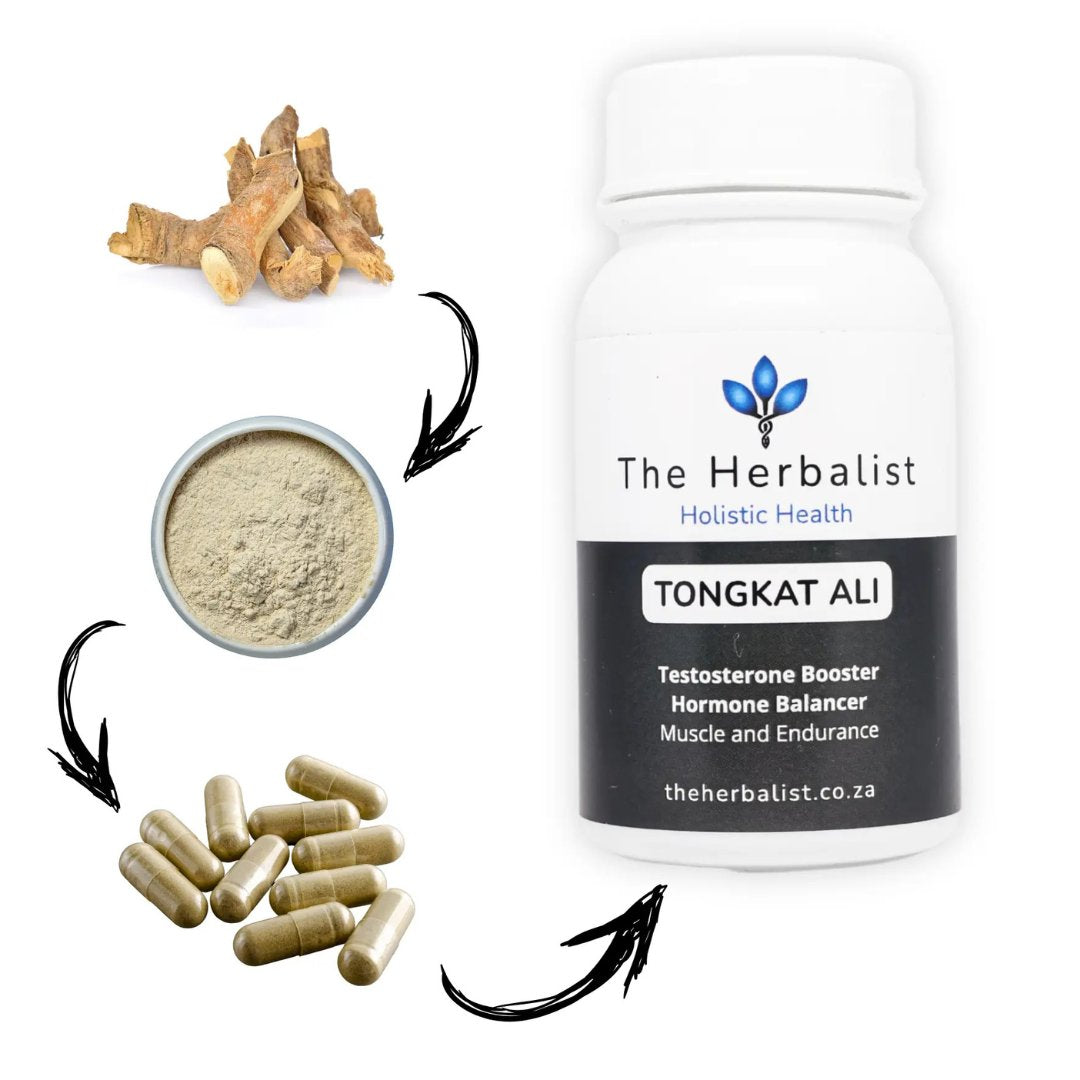 Tongkat Ali Capsules 120 – Testosterone & Energy Support