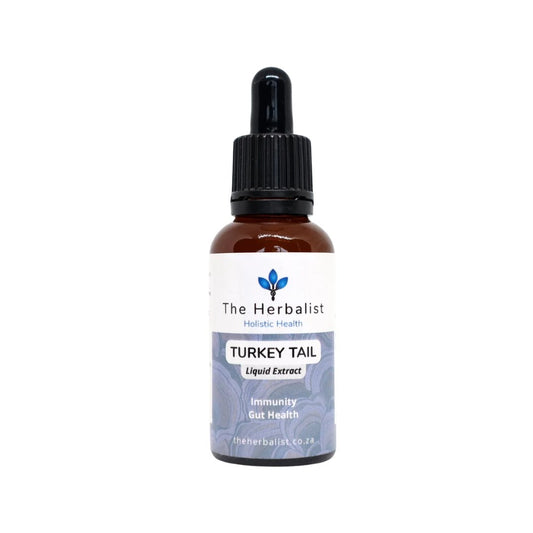 Turkey Tail Liquid Extract – Immunity & Gut Health
