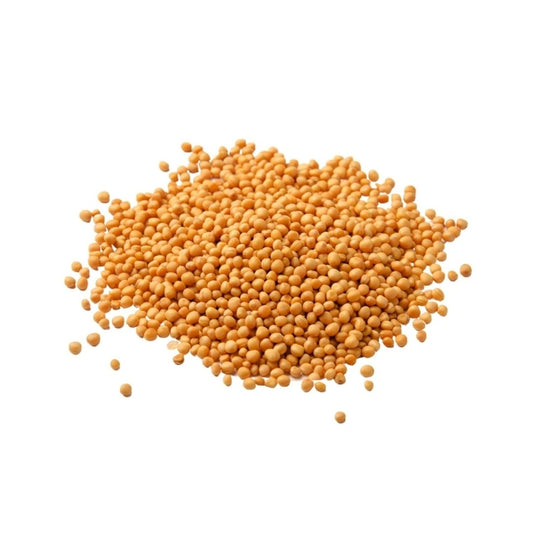 Mustard Seed Yellow 100g