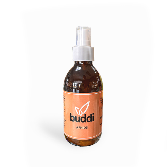 Buddi Organic Pest Control Spray - Aphids