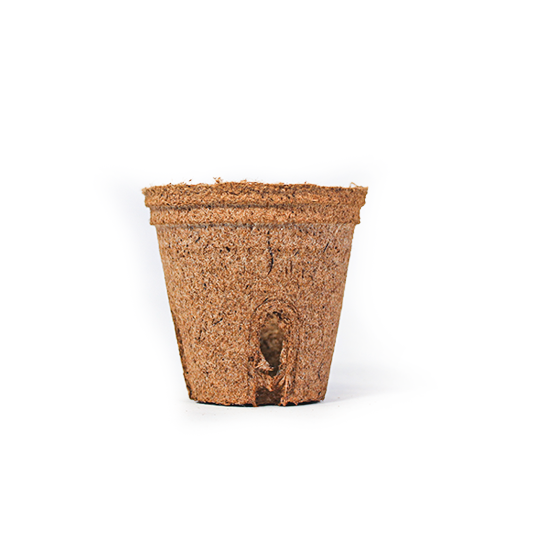 Jiffy Pot 6x6